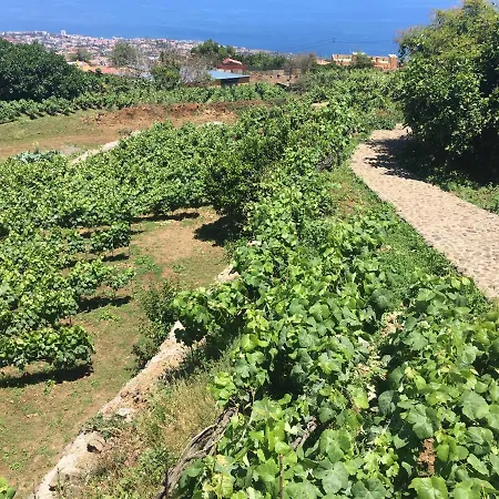 Finca El Milagro - Vistas
